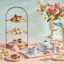 티팰리스 이미지