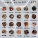암센터 | 마두동삼계탕 맛집 일산누룽지삼계탕에서 즐긴 마두역삼계탕 보양식 후기