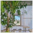 GS25 수영팔도 이미지