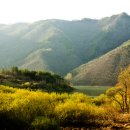 대청호풍경민박 이미지