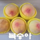 막퍼주는집 - 하남시 신장로 156 | 수원 화서시장 과일야채막퍼주는집. 복숭아 구매 후기.