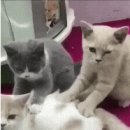 드림안마시술소 이미지