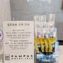 제주공항 바다 앞 가성비 호텔 추천｜팜파스 호텔 실제 숙박 후기