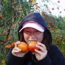 민식농장 이미지