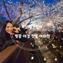 풍산공설시장 | [경남 창원]진해 군항제부터 창원 캄보니아 축제까지 -진해여행 1/2