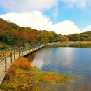 Dr. PAIK의 건강교실 (31)♧♧ 이미지