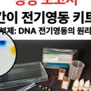 과학(전기)실험 이미지
