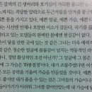 1박 2일 김대주 작가가 신세경에 대해 쓴 글 이미지