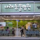 나래동물병원 이미지