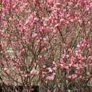 무등도서관 이미지