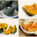 일흥농장 이미지