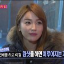 해돋이 민박 이미지