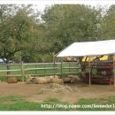 준석농장 이미지