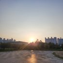 수원M복싱 이미지