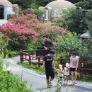 복수북로 이미지