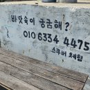동해시-24 | [동해 다이빙] 양양 남애스쿠버리조트 샵 후기 (2025.08.22~24)