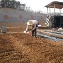 남양농장 이미지