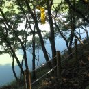 회동수원지 이미지