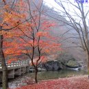 강천산(대구) 이미지