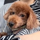 UR(의정부시)-[녹양로]-하-12 | 울 애긔가 아프면,, 천국은 누가지켜,, 아프지마,, (이슬 첫 장염 / 이사 / 갭이어 첫 교육)