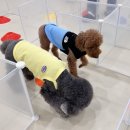 털로덮인친구들 수원시청역점 이미지