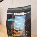 맛있개도 냥냥 이미지