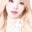 논노브