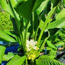 설악민박 이미지