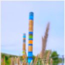 배곧생명공원 이미지