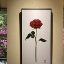 강추! 미술 전시회(디지털 드로잉) in 에르네스토 카페