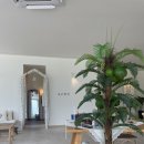 지구에서 너뿐 이미지