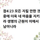 생명의 근원이 나오는 마음을 지키라(잠4:23) 이미지