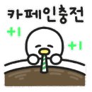 카페인대천