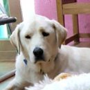 계창초등학교 이미지