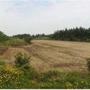 온누리공인중개사사무소 이미지