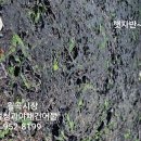 대성청과 - 성남시 수정구 수정북로 18 | 대성청과