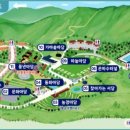 이천수족관