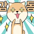 놀러와양꼬치 이미지