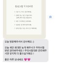 베티풀