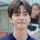 리노203