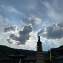 평창 1박2일 오대산 월정사 전나무숲길/ 한우마을 내돈내산 후기