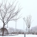 수원-0126 이미지