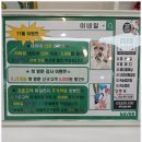 손 끝까지 완벽하고 매력적이게! 의왕네일 [ 이네일] 펄아트 후기 ! 재방문 의사 100%