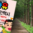 (유)금강택시 이미지