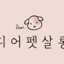 디어펫살롱 이미지
