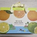 돌코롬푸드