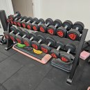 덤벨 276kg 세트 (10kg은 미포함) 이미지