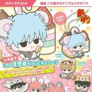 애니멀타임 이미지