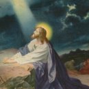 복음식당 이미지