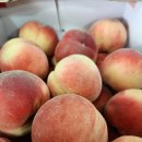 우리경봉환경 이미지